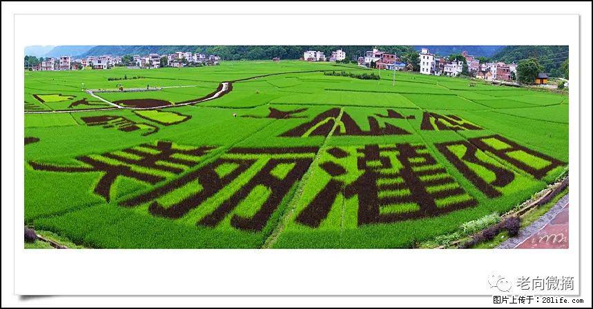 【春天，广西桂林灌阳县向您发出邀请！】开篇 - 游山玩水 - 赣州生活社区 - 赣州28生活网 ganzhou.28life.com