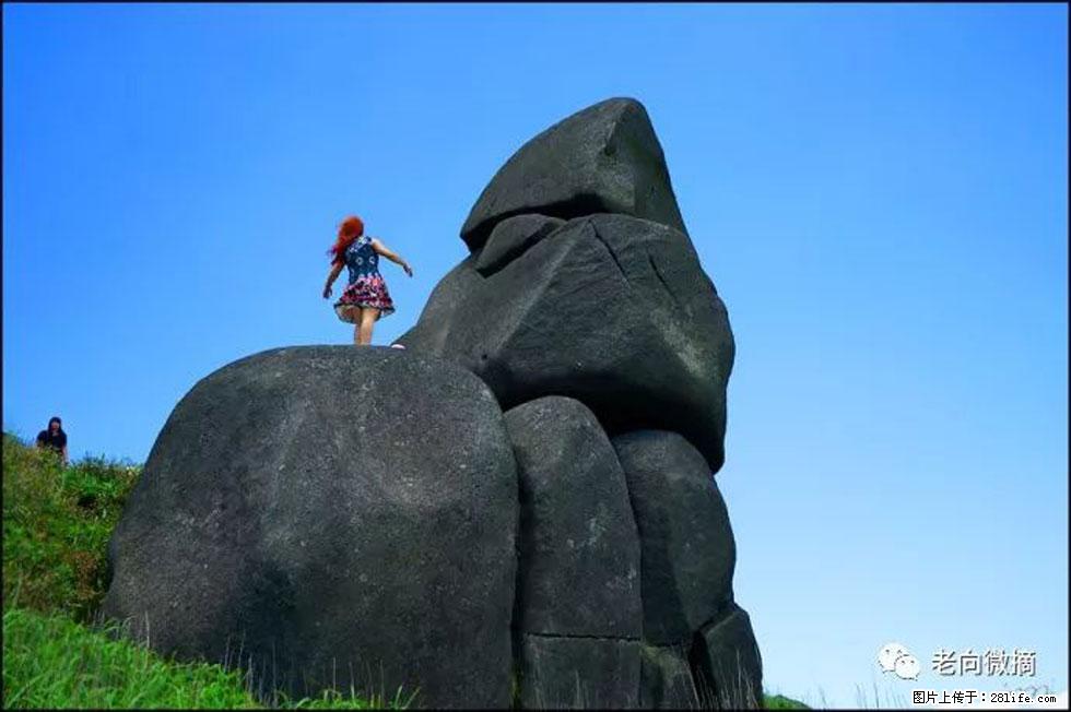 【春天，广西桂林灌阳县向您发出邀请！】宝盖山上映山红 - 游山玩水 - 赣州生活社区 - 赣州28生活网 ganzhou.28life.com