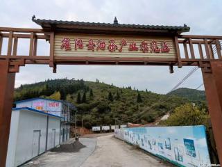 【灌阳县油茶产业示范区】一个有着充实的精神生活的人，对待身外之物自会有一种淡泊的态度 - 赣州28生活网 ganzhou.28life.com