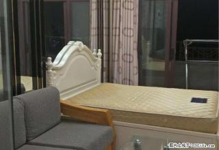 章江新区人民医院旁尚江尊品豪华一房家电齐全 - 赣州28生活网 ganzhou.28life.com