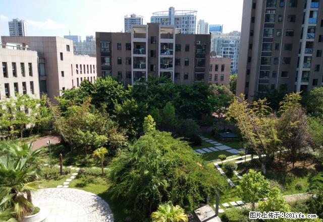 富地中心 全新装修大三房带车位 3750元 办公非常棒 - 房屋出租 - 房屋租售 - 赣州分类信息 - 赣州28生活网 ganzhou.28life.com