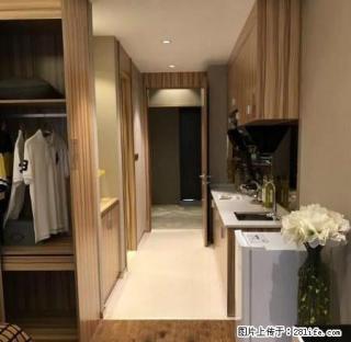 万象城旁达芬奇国际中心一室一厅豪华装修拎包入住仅租2300元 - 赣州28生活网 ganzhou.28life.com