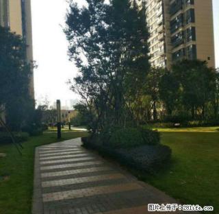 章江新区~中海国际社区~精装三房~拎包入住！！ - 赣州28生活网 ganzhou.28life.com