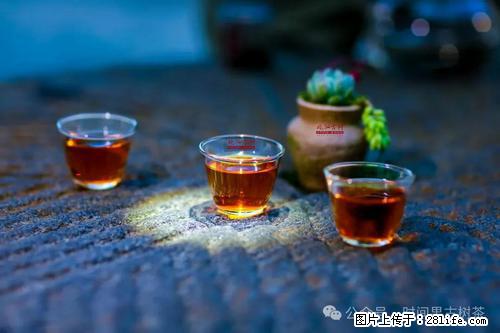 时间果百年古树2025年春红茶 - 购物交流 - 赣州生活社区 - 赣州28生活网 ganzhou.28life.com