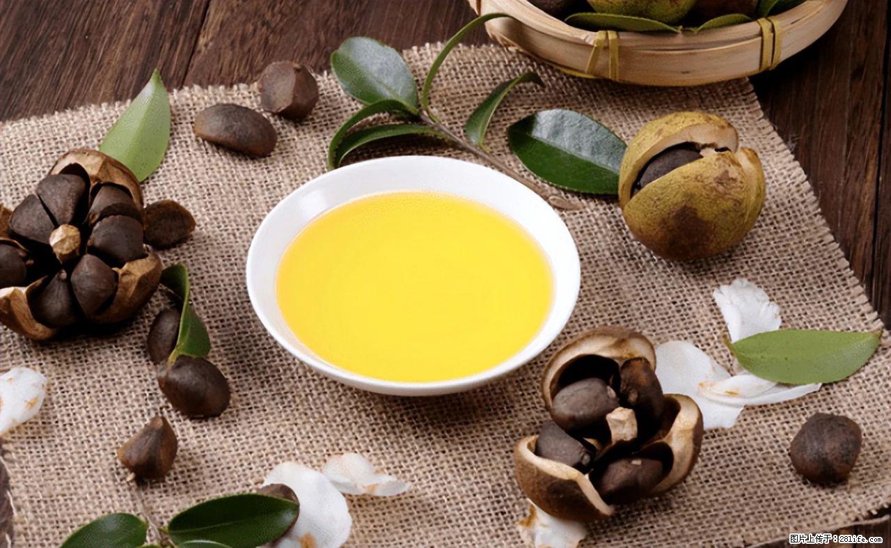 揭秘茶油的5大核心营养成分！被称为人体健康的“守护盾”！ - 赣州生活资讯 - 赣州28生活网 ganzhou.28life.com