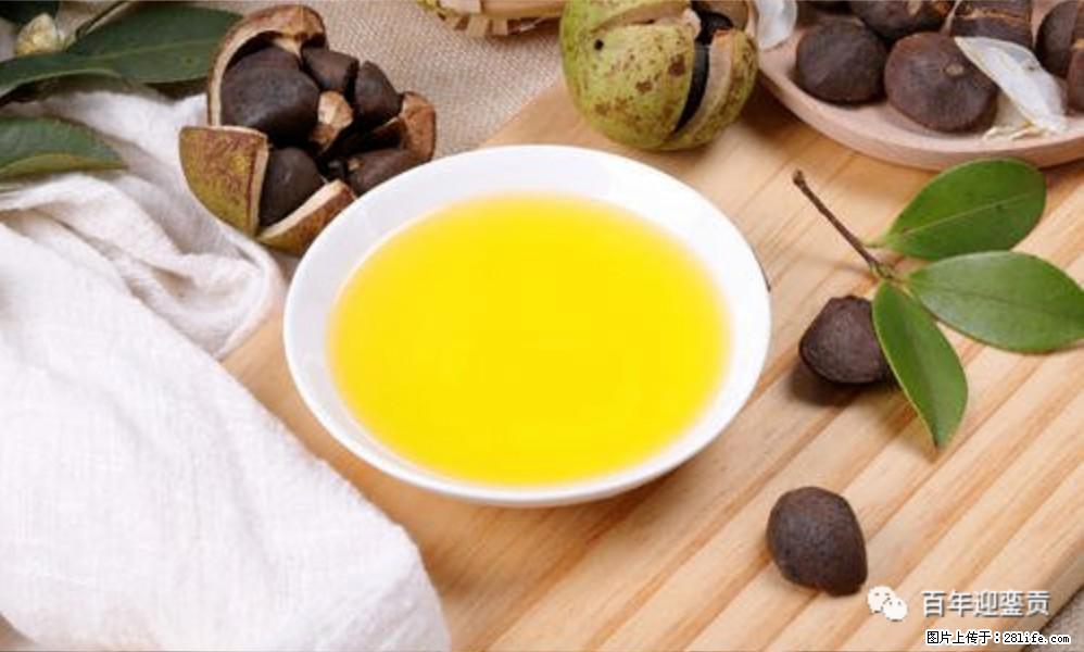 揭秘茶油的5大核心营养成分！被称为人体健康的“守护盾”！ - 赣州生活资讯 - 赣州28生活网 ganzhou.28life.com