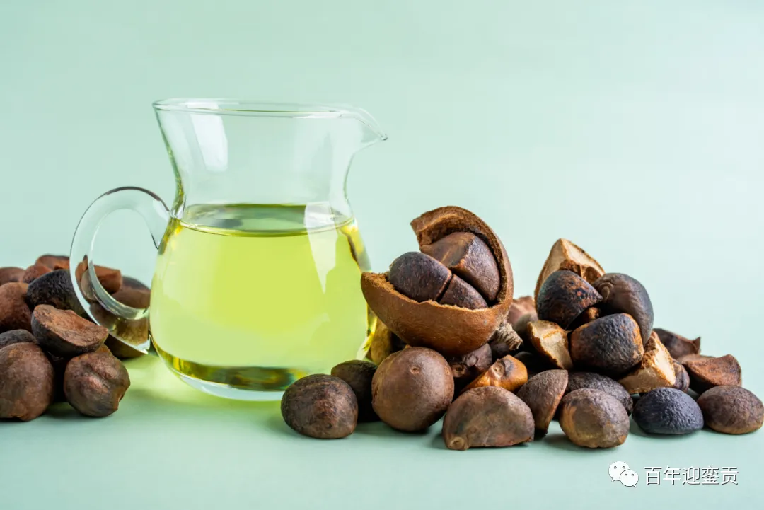 世界没有真相，只有认知，最好的食用油是中国的山茶油！ - 赣州生活资讯 - 赣州28生活网 ganzhou.28life.com