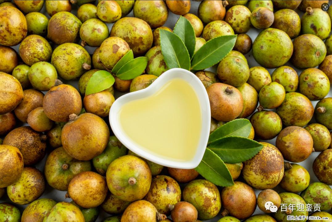 世界没有真相，只有认知，最好的食用油是中国的山茶油！ - 赣州生活资讯 - 赣州28生活网 ganzhou.28life.com