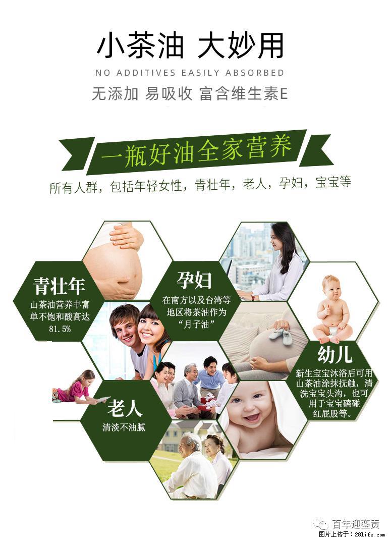 世界没有真相，只有认知，最好的食用油是中国的山茶油！ - 赣州生活资讯 - 赣州28生活网 ganzhou.28life.com