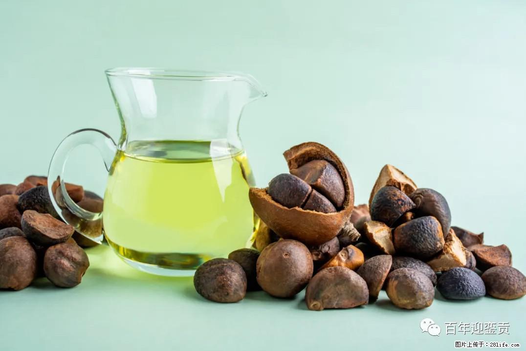 世界没有真相，只有认知，最好的食用油是中国的山茶油！ - 赣州生活资讯 - 赣州28生活网 ganzhou.28life.com