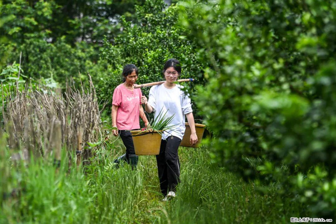 全网追的“扁担女孩”，找了一份暑假工，时薪12元 - 赣州生活资讯 - 赣州28生活网 ganzhou.28life.com