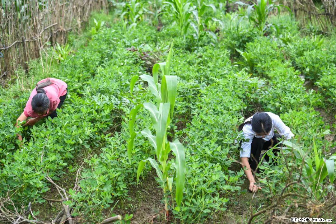 全网追的“扁担女孩”，找了一份暑假工，时薪12元 - 赣州生活资讯 - 赣州28生活网 ganzhou.28life.com