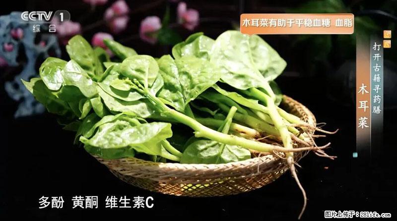 比牛奶补钙还厉害!凉血解毒、稳血糖...这菜冬天必吃,很多人却当草 - 赣州生活资讯 - 赣州28生活网 ganzhou.28life.com