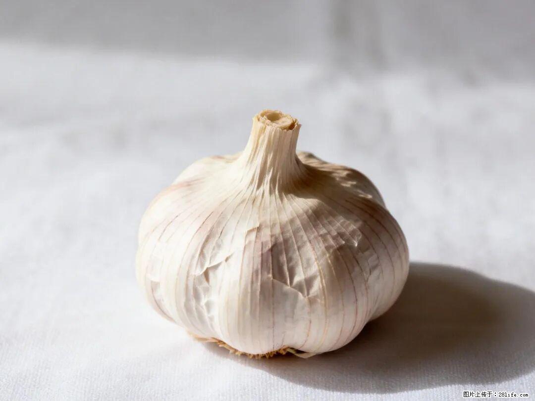 关于大蒜,除了“天然抗生素”,这4个谣言更该警惕! - 赣州生活资讯 - 赣州28生活网 ganzhou.28life.com