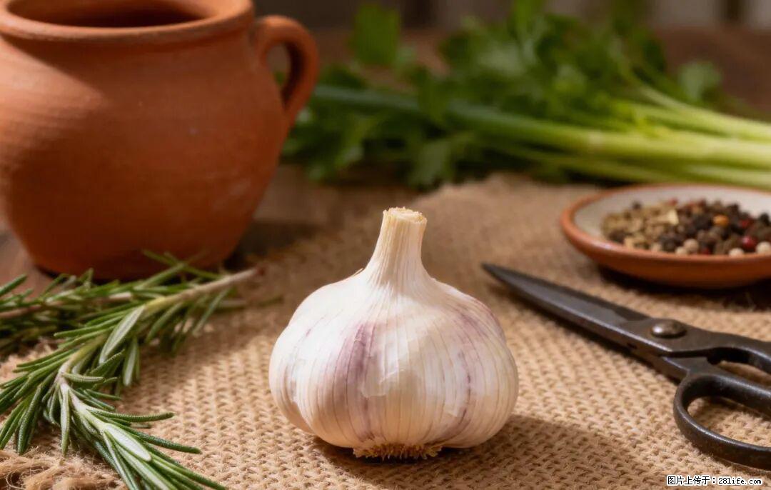 关于大蒜,除了“天然抗生素”,这4个谣言更该警惕! - 赣州生活资讯 - 赣州28生活网 ganzhou.28life.com