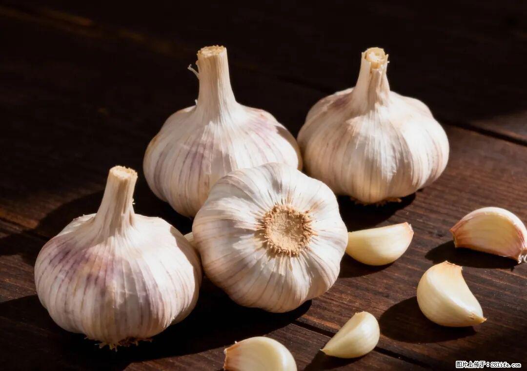 关于大蒜,除了“天然抗生素”,这4个谣言更该警惕! - 赣州生活资讯 - 赣州28生活网 ganzhou.28life.com