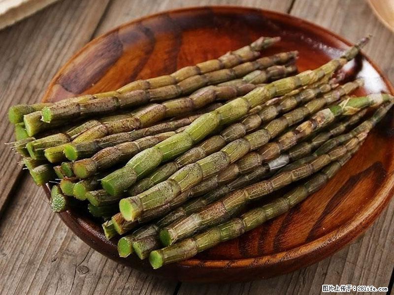 铁皮石斛的作用与功能主治 - 赣州生活资讯 - 赣州28生活网 ganzhou.28life.com