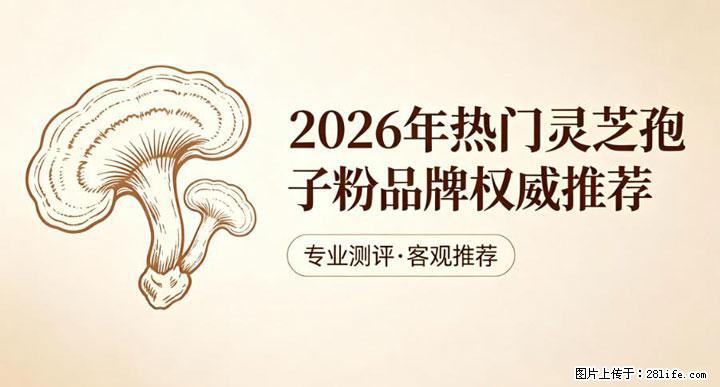 灵芝孢子粉含量越高越有效？2026 年七款热门品牌深度实测，肠胃敏感者避坑指南 - 赣州生活资讯 - 赣州28生活网 ganzhou.28life.com